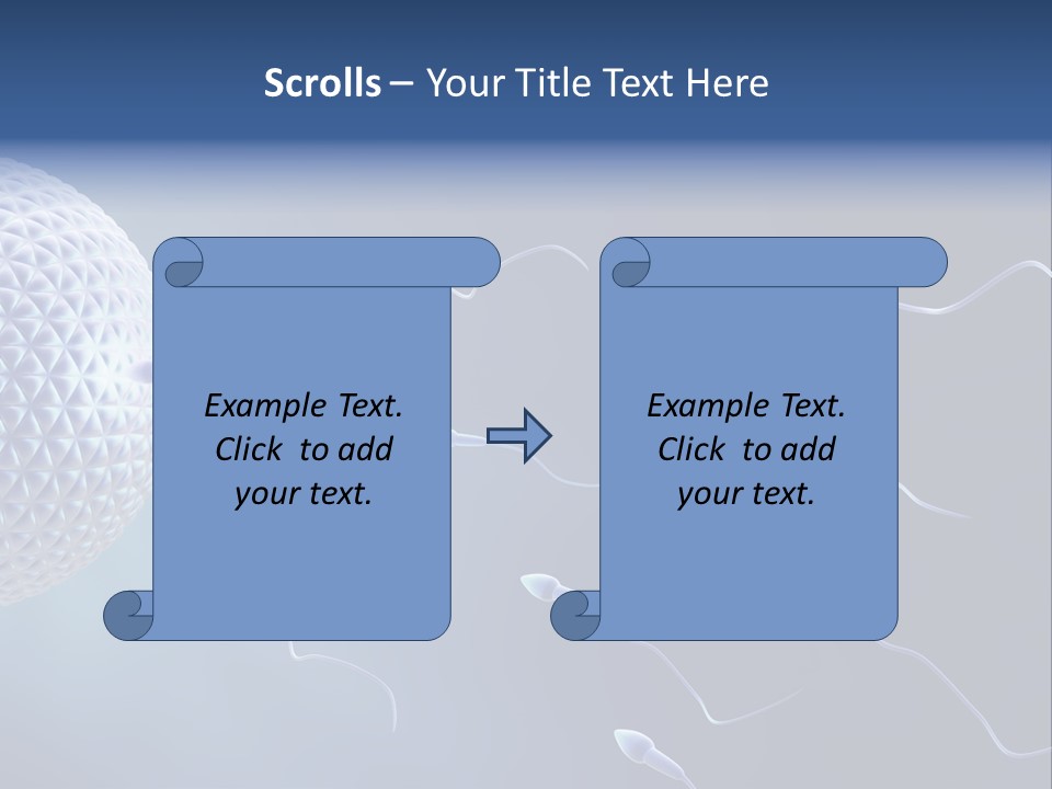 Ovule Competition Copulation PowerPoint Template