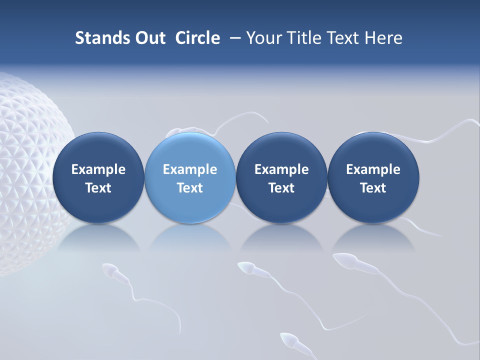 Ovule Competition Copulation PowerPoint Template