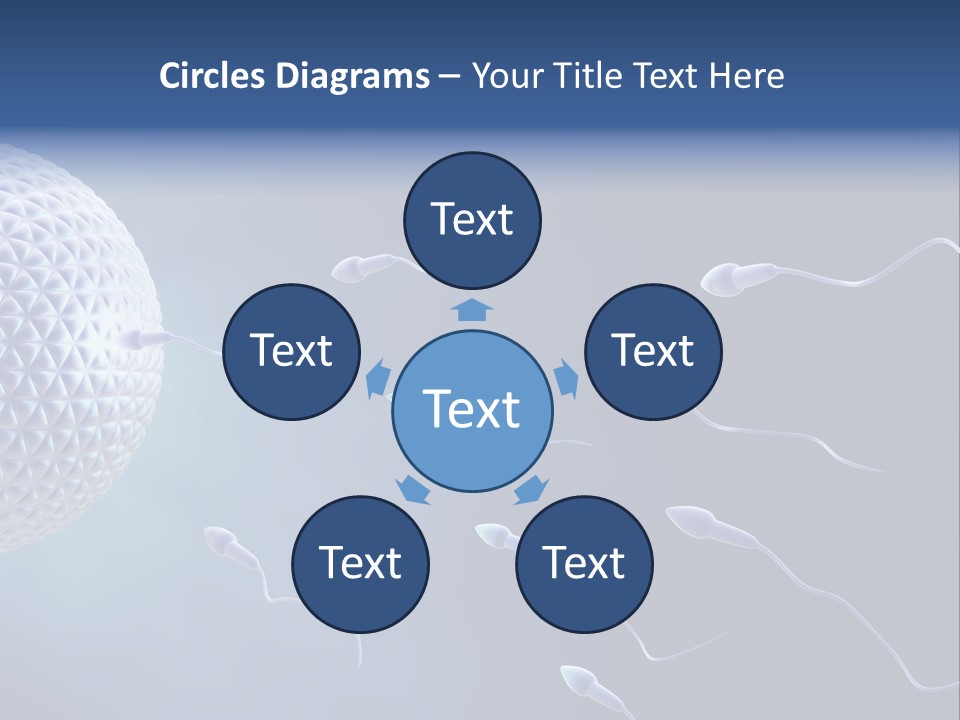 Ovule Competition Copulation PowerPoint Template
