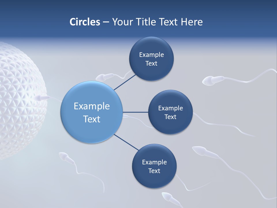 Ovule Competition Copulation PowerPoint Template