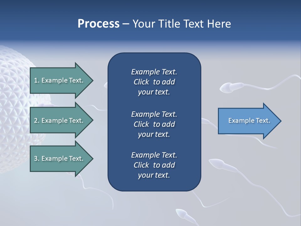 Ovule Competition Copulation PowerPoint Template