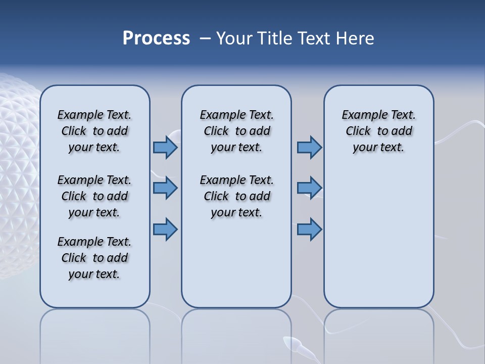 Ovule Competition Copulation PowerPoint Template