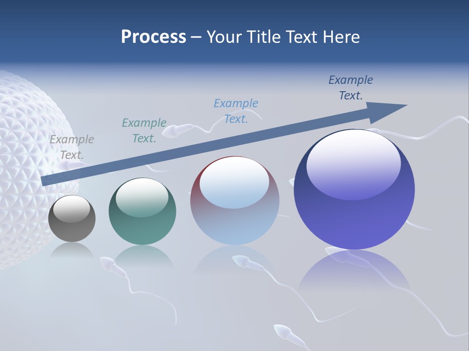 Ovule Competition Copulation PowerPoint Template