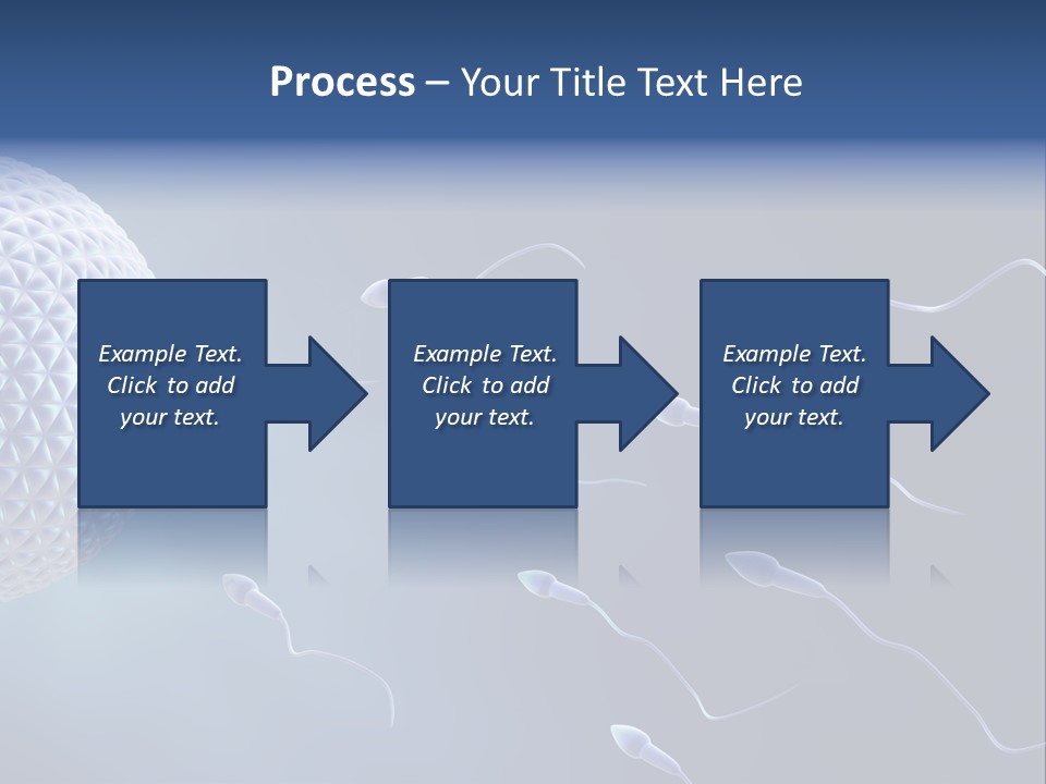 Ovule Competition Copulation PowerPoint Template