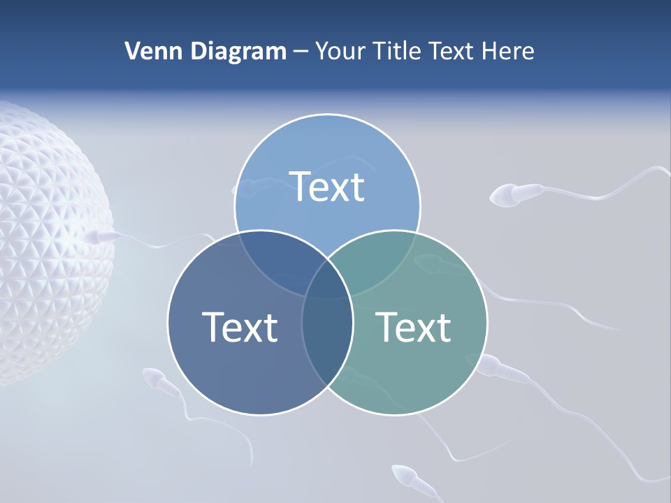 Ovule Competition Copulation PowerPoint Template