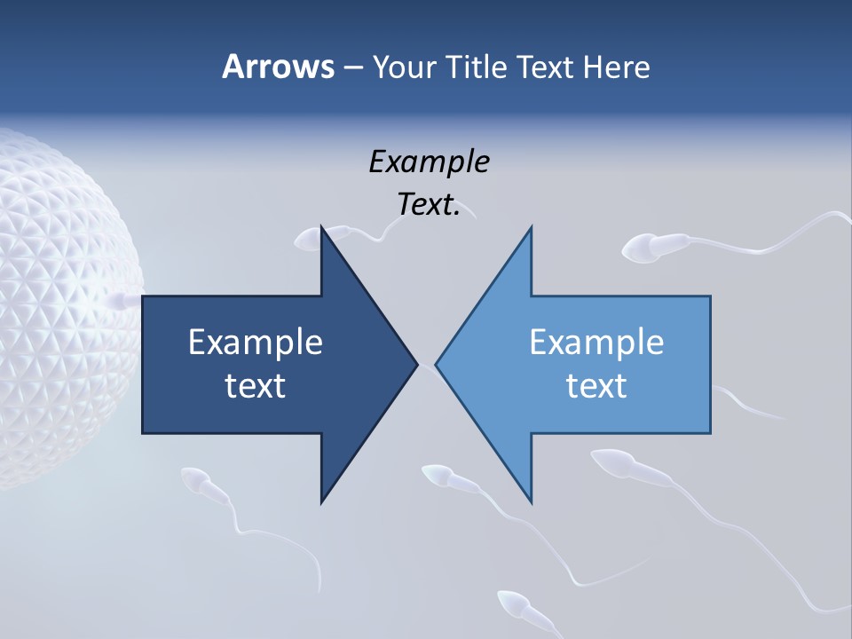 Ovule Competition Copulation PowerPoint Template
