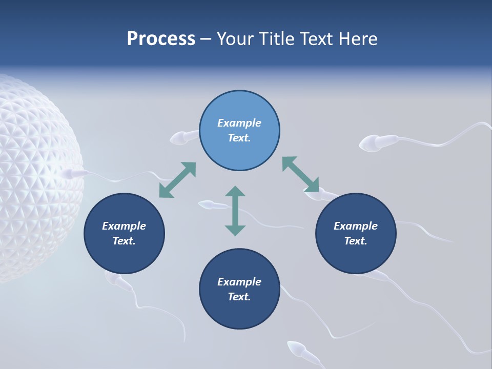 Ovule Competition Copulation PowerPoint Template
