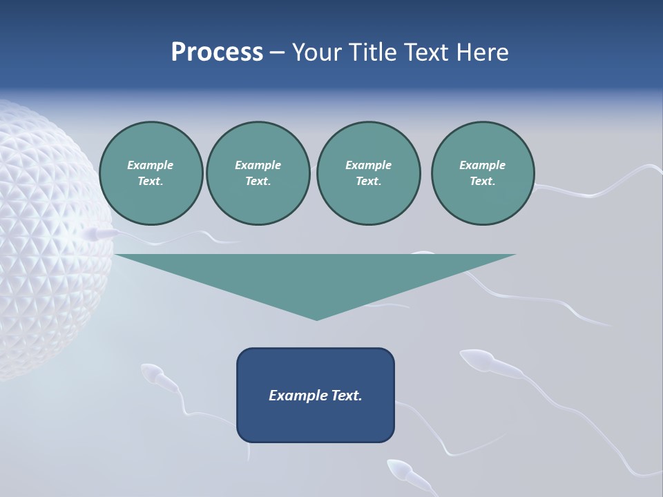 Ovule Competition Copulation PowerPoint Template