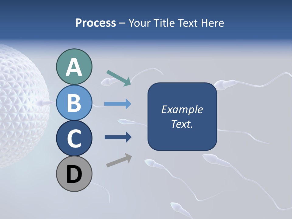 Ovule Competition Copulation PowerPoint Template