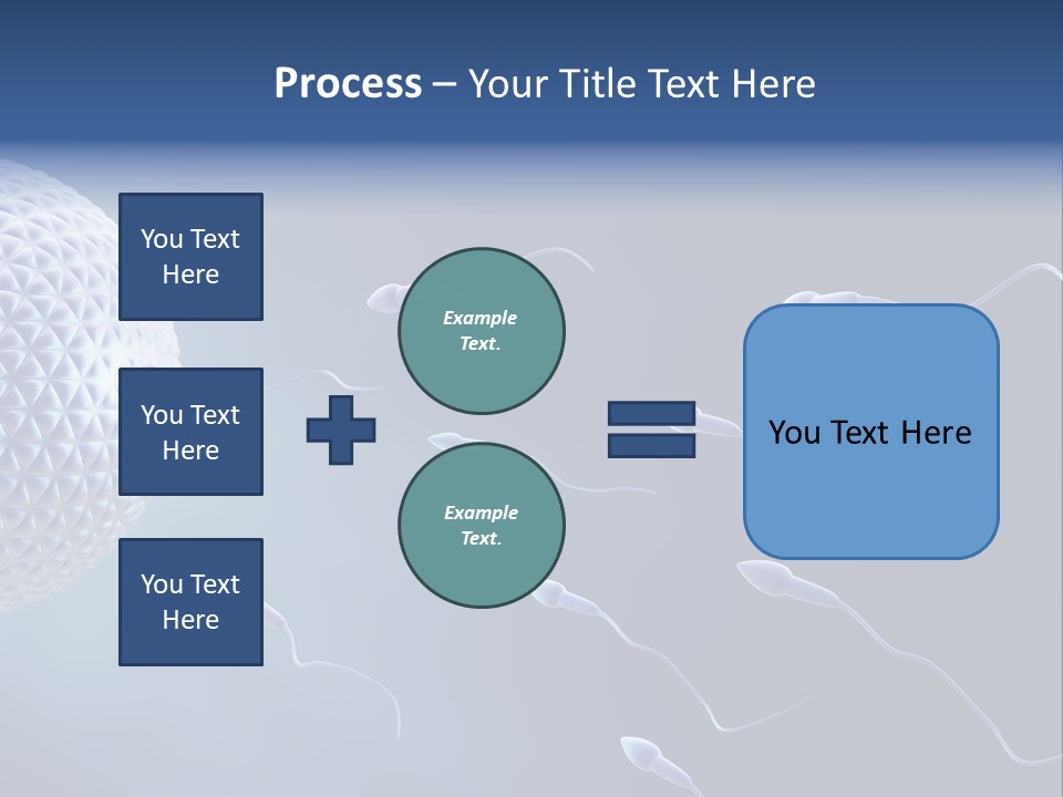 Ovule Competition Copulation PowerPoint Template