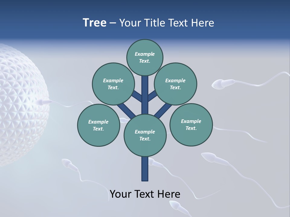 Ovule Competition Copulation PowerPoint Template