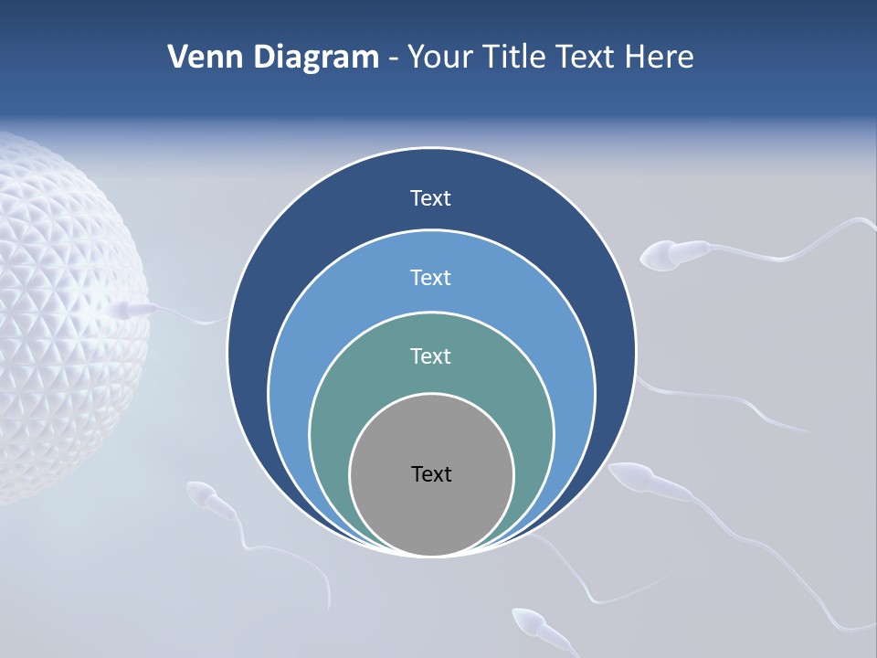 Ovule Competition Copulation PowerPoint Template