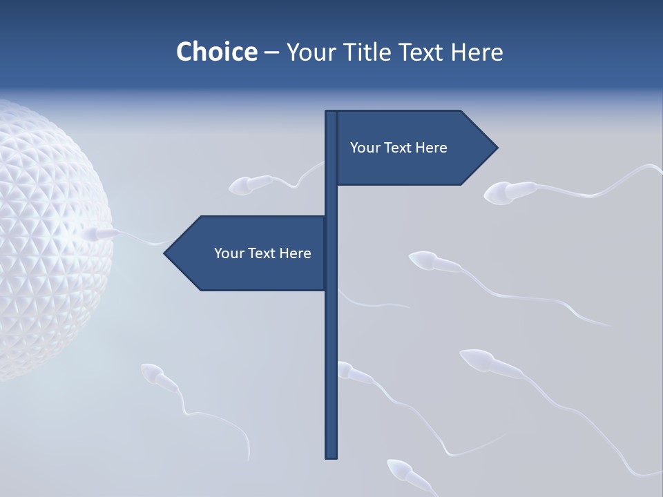 Ovule Competition Copulation PowerPoint Template