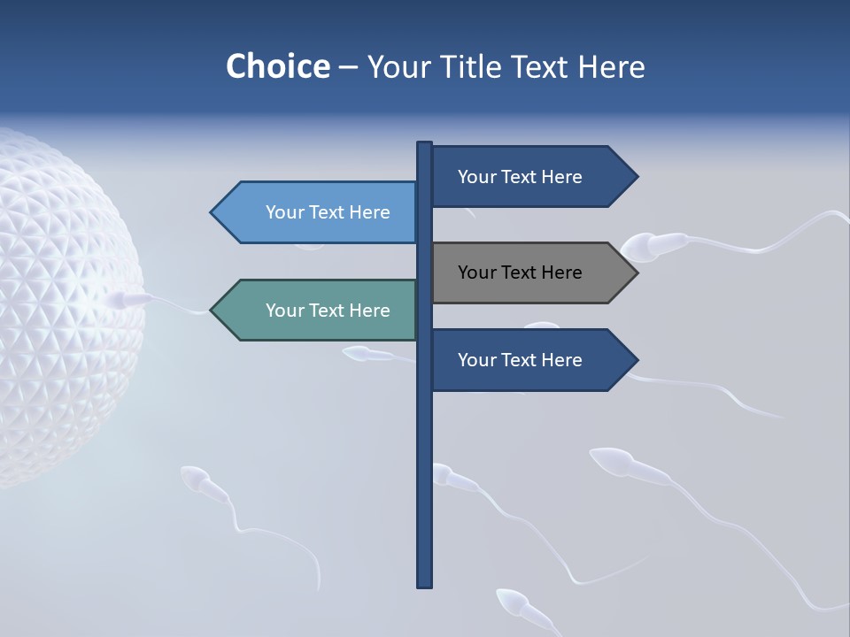 Ovule Competition Copulation PowerPoint Template