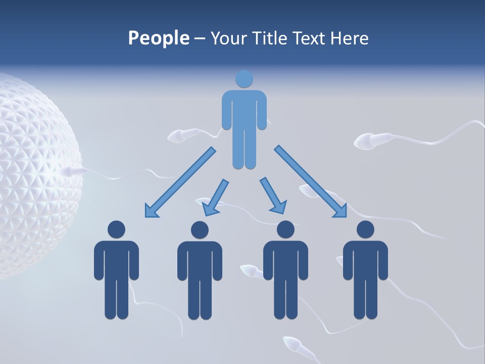 Ovule Competition Copulation PowerPoint Template
