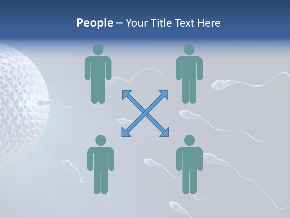 Ovule Competition Copulation PowerPoint Template