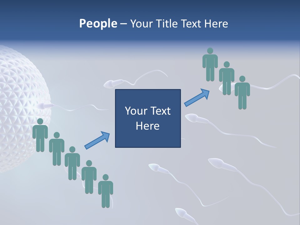 Ovule Competition Copulation PowerPoint Template