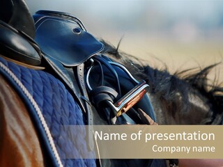 Purebred Saddle Seat PowerPoint Template