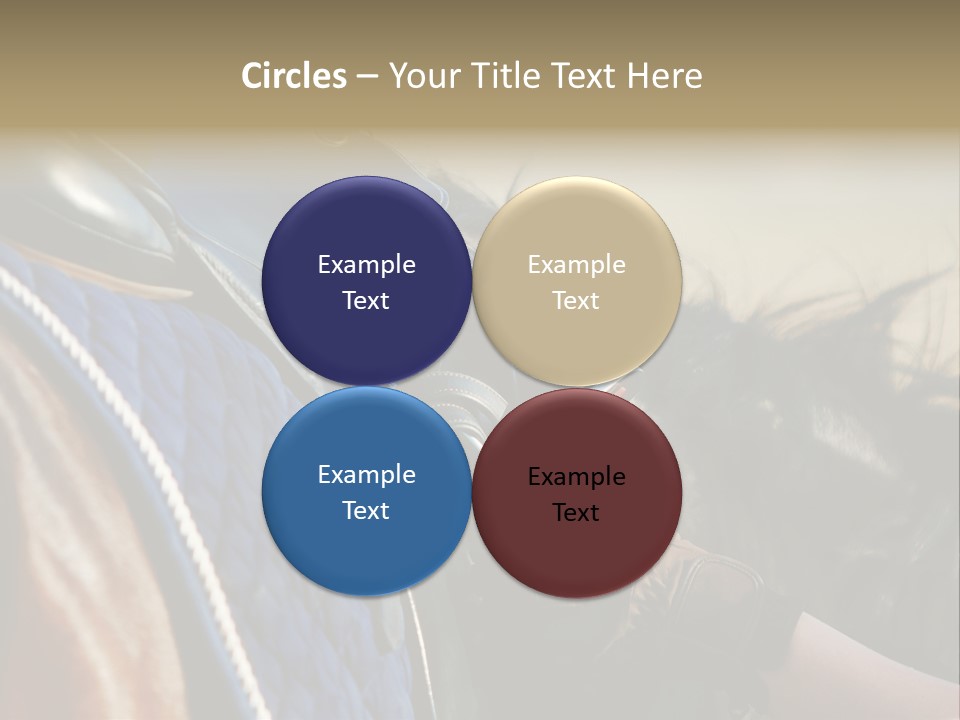 Purebred Saddle Seat PowerPoint Template