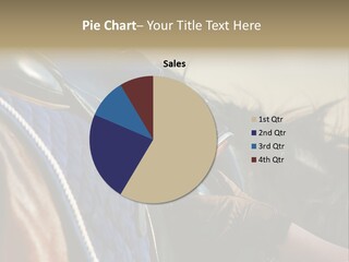 Purebred Saddle Seat PowerPoint Template