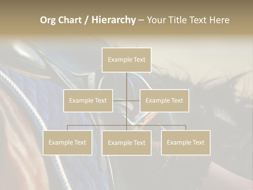 Purebred Saddle Seat PowerPoint Template