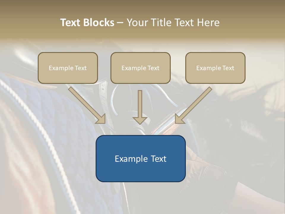 Purebred Saddle Seat PowerPoint Template