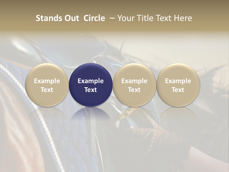 Purebred Saddle Seat PowerPoint Template
