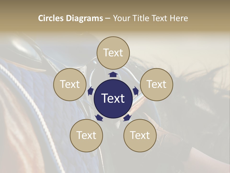 Purebred Saddle Seat PowerPoint Template