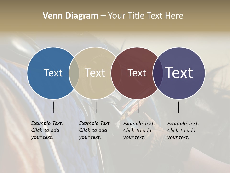 Purebred Saddle Seat PowerPoint Template