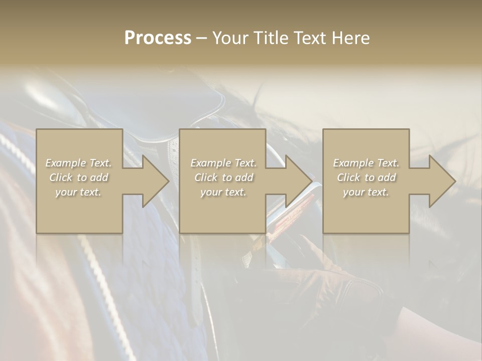 Purebred Saddle Seat PowerPoint Template