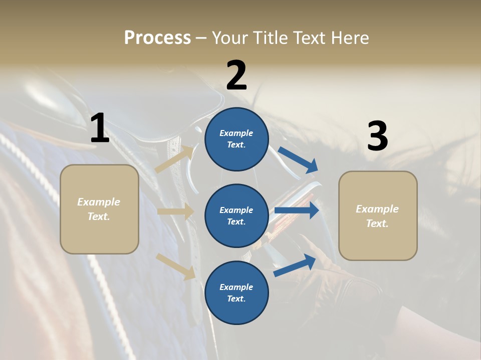 Purebred Saddle Seat PowerPoint Template