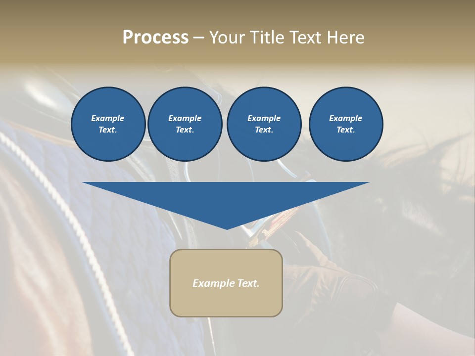 Purebred Saddle Seat PowerPoint Template