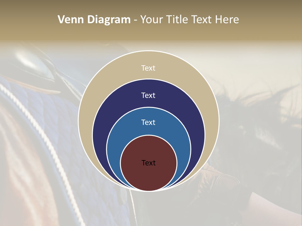 Purebred Saddle Seat PowerPoint Template