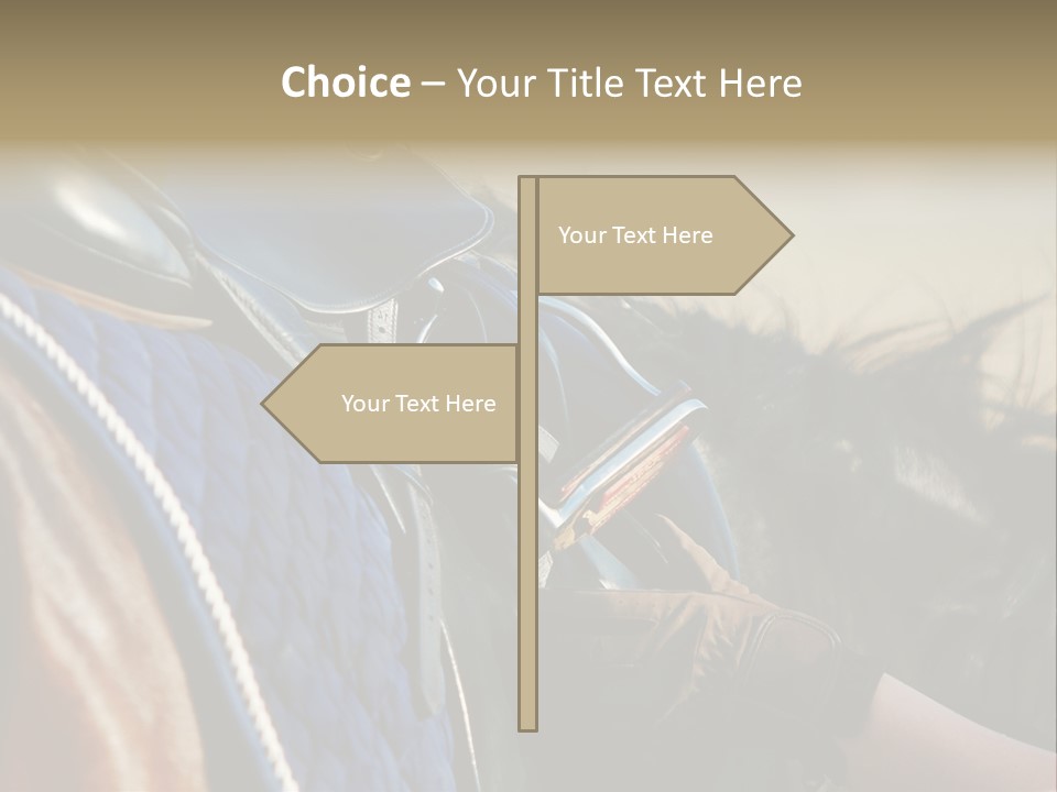 Purebred Saddle Seat PowerPoint Template