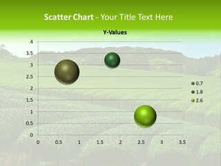 Gyokuro Countryside Tea PowerPoint Template