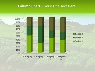 Gyokuro Countryside Tea PowerPoint Template