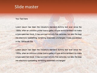 Aggression Scorpion Aggressive PowerPoint Template
