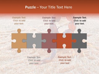 Aggression Scorpion Aggressive PowerPoint Template
