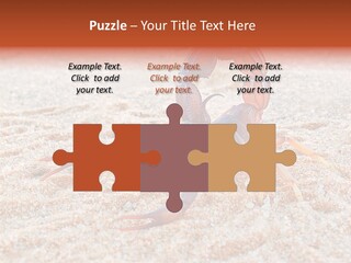 Aggression Scorpion Aggressive PowerPoint Template