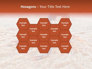 Aggression Scorpion Aggressive PowerPoint Template