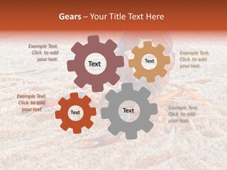 Aggression Scorpion Aggressive PowerPoint Template