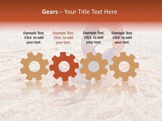 Aggression Scorpion Aggressive PowerPoint Template