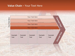 Aggression Scorpion Aggressive PowerPoint Template