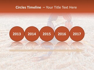 Aggression Scorpion Aggressive PowerPoint Template