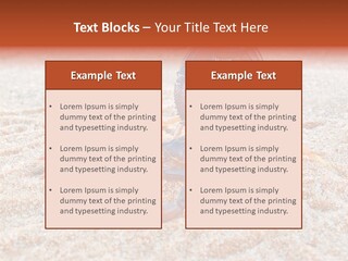 Aggression Scorpion Aggressive PowerPoint Template