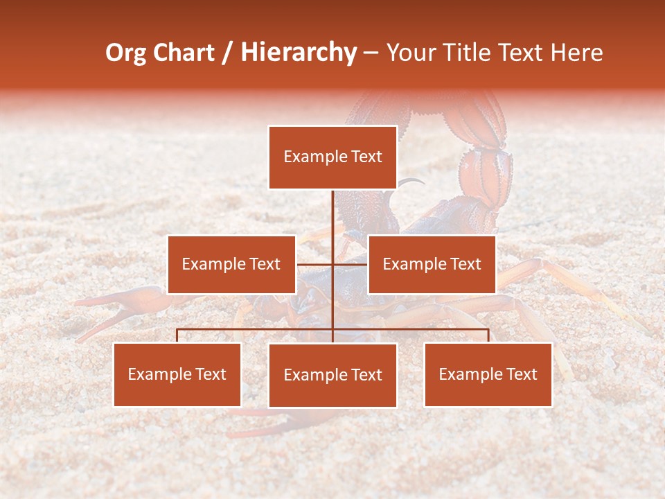 Aggression Scorpion Aggressive PowerPoint Template