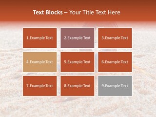 Aggression Scorpion Aggressive PowerPoint Template