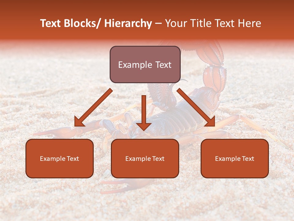 Aggression Scorpion Aggressive PowerPoint Template