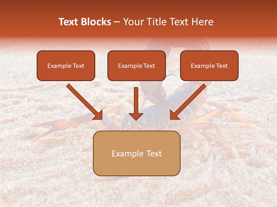 Aggression Scorpion Aggressive PowerPoint Template