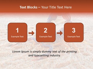 Aggression Scorpion Aggressive PowerPoint Template